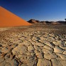 Dried mud. Near Sossusvlei. Namibia