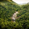 1Malaysian Rainforest