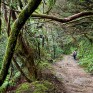 Parque-Rural-de-Anaga-Tenerife_12